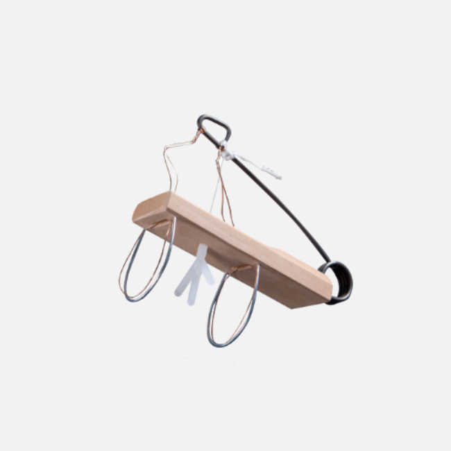 6 Trappole Bracchetta®